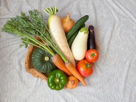 いろんな野菜セット2 新鮮野菜,野菜,緑黄色野菜の写真素材