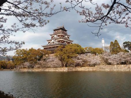 桜の木に囲まれたお城 桜の木に囲まれたお城の写真