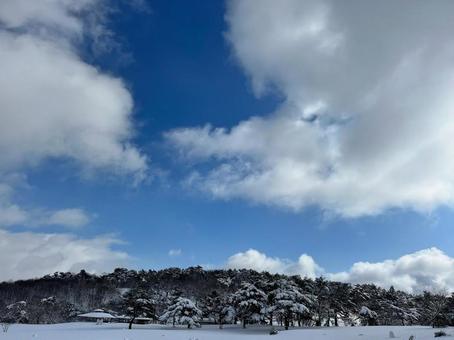 山の雪景色 山の雪景色の写真