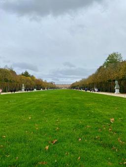秋のヴェルサイユ宮殿内の庭園 秋のヴェルサイユ宮殿内の庭園 ヴェルサイユ宮殿,フランス,ヴェルサイユの写真素材