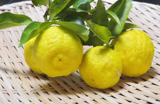 花柚子　 柚子,柑橘類,果実の写真素材