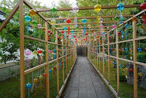 パワースポット 滋賀 西教寺⑱ 参道 パワースポット 滋賀 西教寺⑱ 参道 パワースポット,滋賀県,西教寺の写真素材