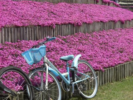 笠間芸術の森公園-4 笠間芸術の森公園-4 笠間芸術の森公園,広場,茨城県笠間市の写真素材