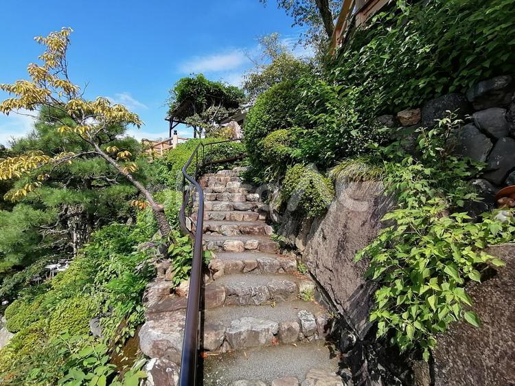 清水寺付近の階段 階段,青空,草木の写真素材