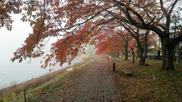 河口湖からの風景 河口湖からの風景の写真