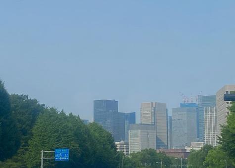 青空 高層ビル群 木々 青空 高層ビル群 木々の写真
