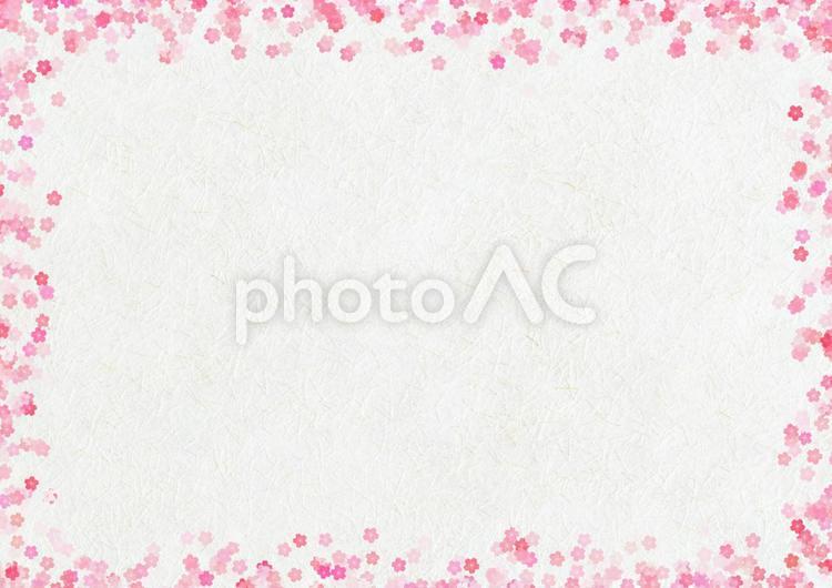 上下左右に桜の模様がある枠の画像 さくら,春,フレームの写真素材