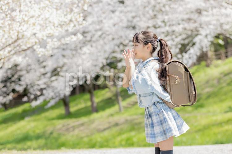 応援をする小学生 応援,声援,ガッツポーズの写真素材