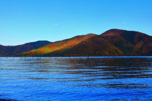 奥琵琶湖の風景 琵琶湖,滋賀県,奧琵琶湖の写真素材