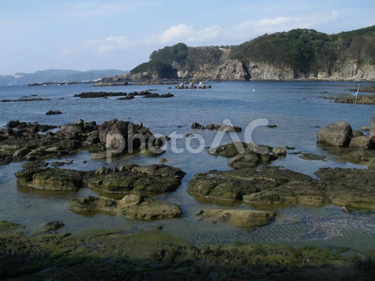 恵比寿島の海岸風景、伊豆下田 恵比寿島,伊豆下田,海岸の写真素材