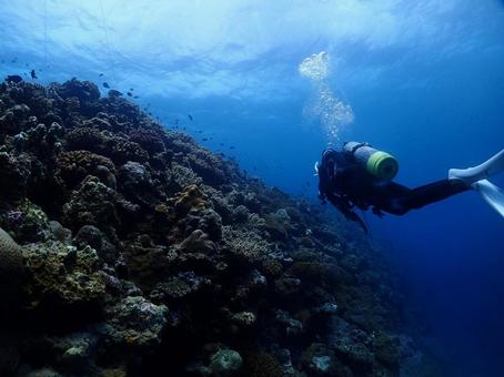 沖縄の海 ダイバー 沖縄の海 ダイバー 水中写真,海,海の中の写真素材