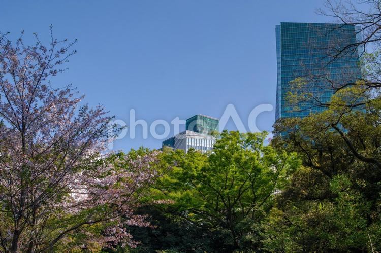 新緑と桜そして青空の風景 みどり,快晴,新緑の写真素材