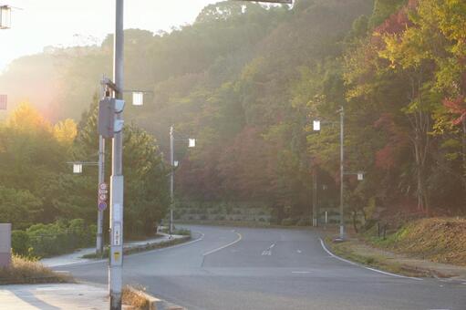 朝の宇治 宇治,宇治市,朝の写真素材