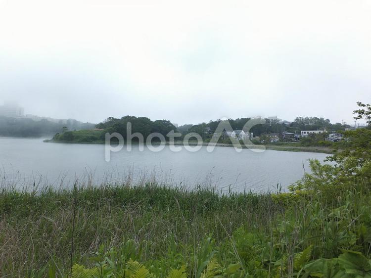 北海道釧路市　霧の春採湖2 湖,北海道,道東の写真素材