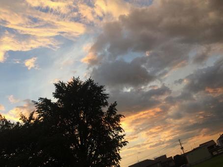 夕方 夕方の写真