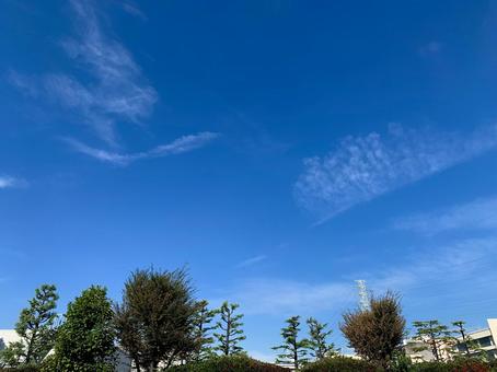 空と雲 空と雲の写真