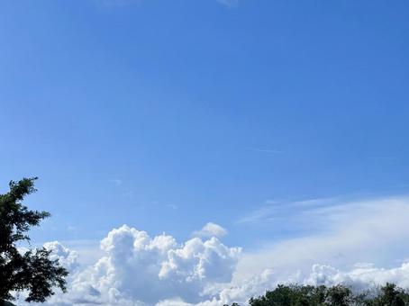 すぐそこの夏 すぐそこの夏の写真