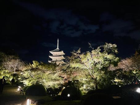 東寺 京都 東寺 京都の写真
