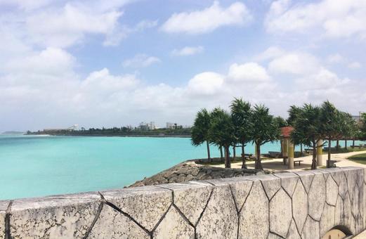 南国の青い海辺の風景 南国の青い海辺の風景 南国,海辺,空の写真素材