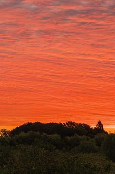 オレンジ色の空 オレンジ色の空の写真