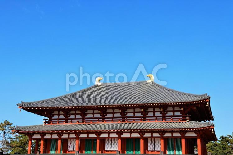 １１月下旬の奈良興福寺の風景 背景,興福寺,寺の写真素材