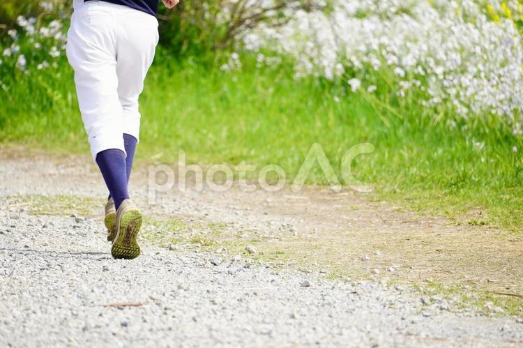 ユニフォームを着てランニングする野球部員 野球,野球部,野球部員の写真素材