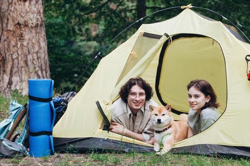 テントの中から顔を出す男女 男女,外国人,犬の写真素材