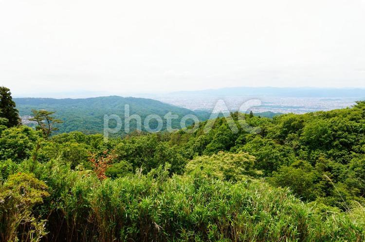 比叡山から京都を望む 風景,景色,山の写真素材