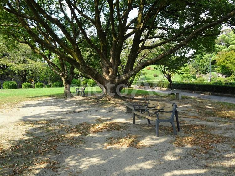 名古屋城の風景-37 名古屋城,愛知県名古屋市,二之丸広場の写真素材