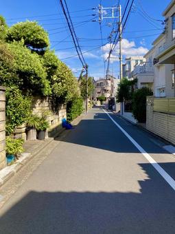 住宅街の風景 市川市真間1丁目付近 住宅街の風景 市川市真間1丁目付近 住宅街,市川市,街並みの写真素材