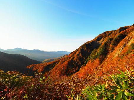 紅葉(雨飾山) 紅葉(雨飾山) 紅葉,秋,もみじの写真素材