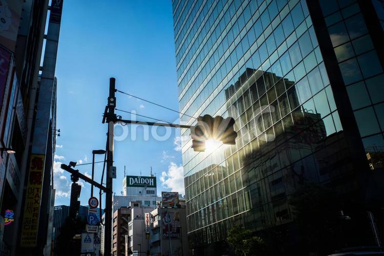 ビルに反射する陽光と信号のある街の風景 風景,都市,東京の写真素材