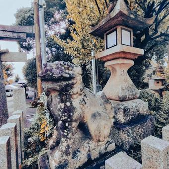 友呂岐神社の狛犬(大阪府寝屋川市)02 友呂岐神社の狛犬(大阪府寝屋川市)02の写真