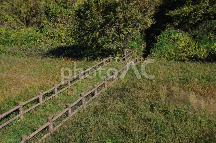 自然の中のフェンス 柵,フェンス,原っぱの写真素材
