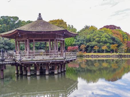 【奈良県】奈良市・浮見堂 浮見堂,奈良県,奈良市の写真素材