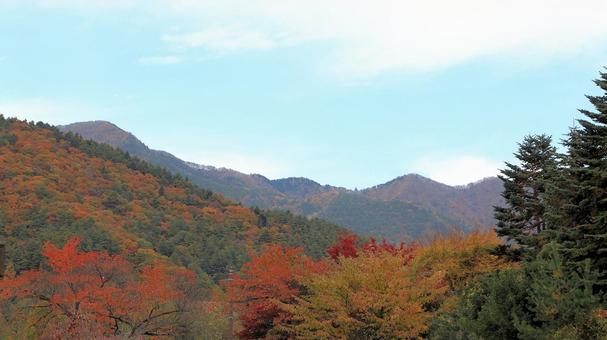 河口湖畔から見る鮮やかな紅葉風景 紅葉,秋,もみじの写真素材