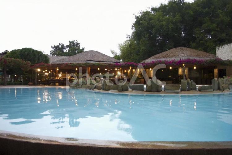 南国のプール プール,南国,セブ島の写真素材