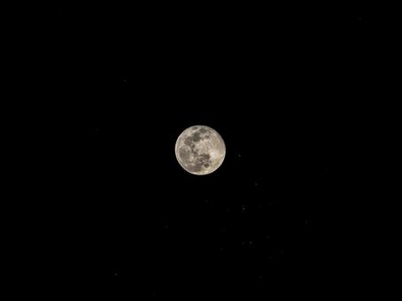 20251107プレアデス星団食(合成) 月,夜,夜空の写真素材