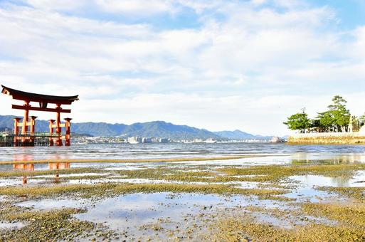 神社9 神社9の写真