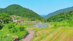 【広島県】棚田百選の井仁の棚田 井仁の棚田,棚田,安芸太田の写真素材