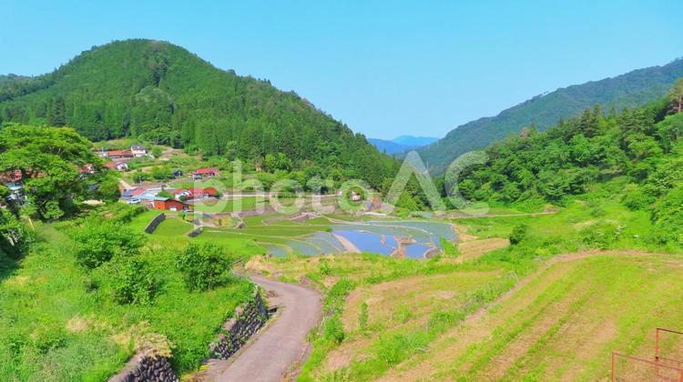 【広島県】棚田百選の井仁の棚田 井仁の棚田,棚田,安芸太田の写真素材