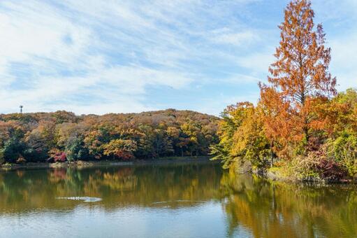 紅葉に染まる秋の空と湖 紅葉,秋,風景の写真素材