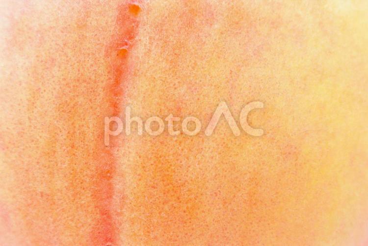 フルーツのイメージ フルーツ,桃,果物の写真素材