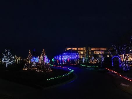 いくとぴあ 食花 ライトアップ② いくとぴあ 食花 ライトアップ② イルミネーション,夜景,新潟の写真素材