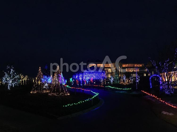 いくとぴあ　食花　ライトアップ② イルミネーション,夜景,新潟の写真素材