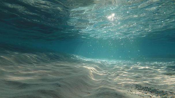 澄み切った水中の静寂な世界 澄み切った水中の静寂な世界の写真
