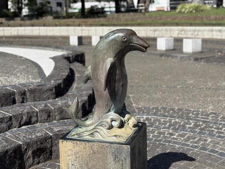 イルカ イルカの写真