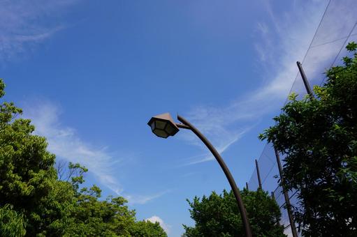 街灯と青空 街灯と青空の写真