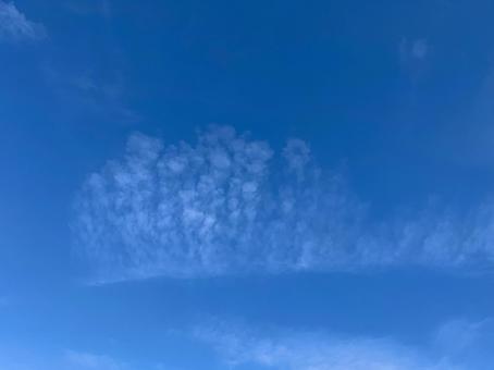 空に咲く花 空に咲く花の写真