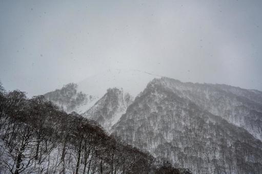 谷川岳ロープウェイから見た景色 谷川岳ロープウェイから見た景色の写真